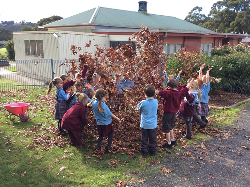 Children playing with leaves